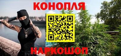 Альфа ПВП Моздок