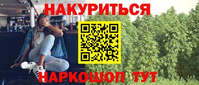 Альфа ПВП Моздок